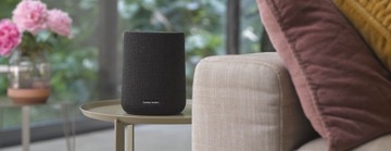 Harman Kardon Citation ONE DUO MKIII 2 шт. Серый