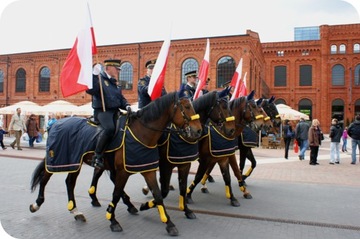 ZESTAW Flaga POLSKI z DRZEWCEM 112x70 cm Drzewiec 120 cm ManufakturaFlag