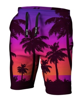 Męskie Krótkie spodenki Aloha 4XL LATO