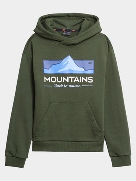 СВИТШОТ С КАПЮШОНОМ 4F ДЛЯ МАЛЬЧИКОВ AW23M634