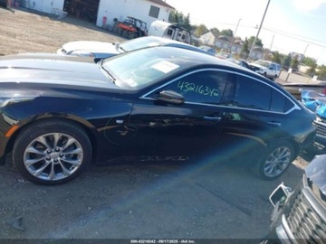 Cadillac 2023 Cadillac CT5 Premium Luxury 2023 2.0l 2.0 Benzyna 237KM, zdjęcie 2