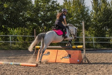 HorseMania - Мини-стена для хобби-лошадей, безопасное препятствие