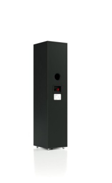 PYLON AUDIO PEARL 20 ЧЕРНЫЙ НАПОЛЬНЫЙ ДИНАМИК