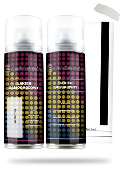 LAKIER SAMOCHODOWY FIAT 249 249F w SPRAYU SPRAY + BEZBARWNY 200ml