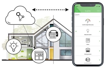 2-канальный контроллер с розетками SUPLA и освещением Wi-Fi.