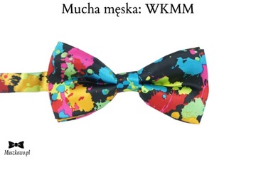 Szelki i mucha dla MATEMATYKA KOLOROWE CYFERKI 16