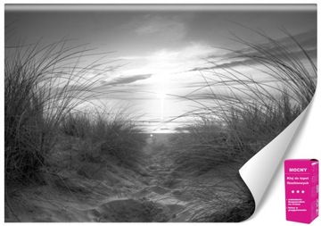 Fototapeta 3D Pejzaż Trawy Woda do Pokoju GRATIS