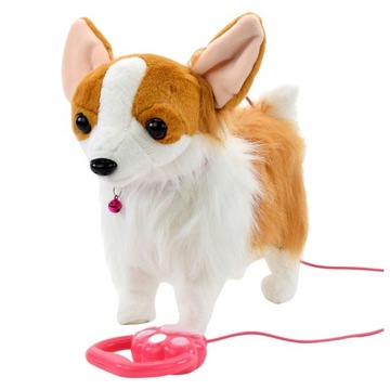 PIESEK INTERAKTYWNY NA SMYCZY CHODZI SZCZEKA CORGI
