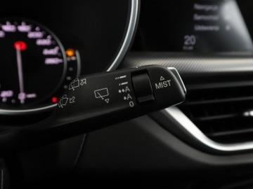 Alfa Romeo Stelvio SUV 2.0 Turbo 280KM 2018 Alfa Romeo Stelvio 2.0Turbo Super Q4 Nawigacja, zdjęcie 32