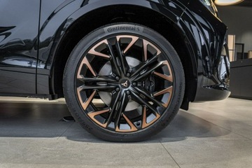 Cupra Terramar 2025 Cupra Terramar Advantage Edition DCC 2.0 TSI 204, zdjęcie 6