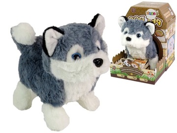 PIESEK HUSKY NA BATERIE `INTERAKTYWNA MASKOTKA CHODZI REAGUJE NA DOTYK