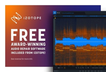 Tascam DR-10L черный Цифровой аудиорекордер с петличным микрофоном