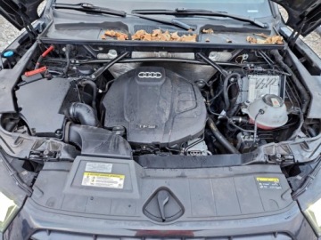 Audi Q5 II 2020 Audi Q5 Premium Plus 2020 2.0 Benzyna 248KM, zdjęcie 6