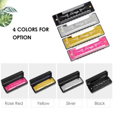 IRIN 10-дырочная гармоника Ключ C 20-тональная музыкальная