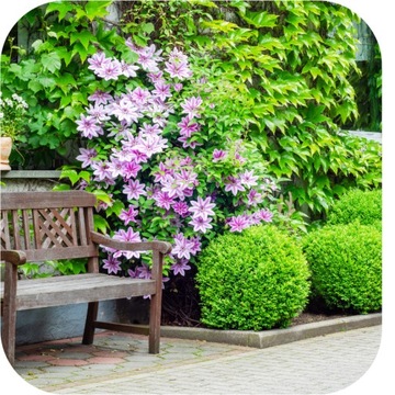 УДОБРЕНИЕ ДЛЯ СЛИВОЧНОГО ДЕРЕВА 1КГ, ГРАНУЛЯТ, БОГАТЫЙ NPK СОСТАВ 12-8-16, ЭФФЕКТИВНОЕ