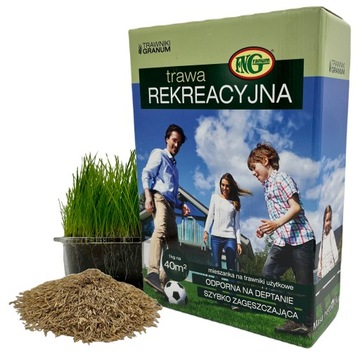 TRAWA NASIONA Rekreacja Ogrodowa Na grunty Żyzne 1kg/40m2