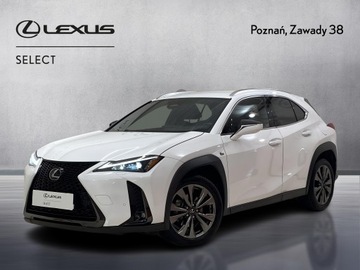 Lexus UX Crossover Facelifting 2.0 300h 199KM 2024 Lexus UX 300h F Sport Design Lexus UX 300h F Sport