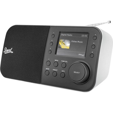 Radio sieciowe DAB+, FM Dual DAB 55