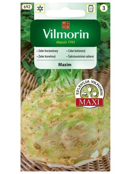 Seler korzeniowy MAXIM późny 0,5 g Vilmorin