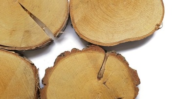 Деревянные брусья 4 шт для садовой дорожки 25-30 см.