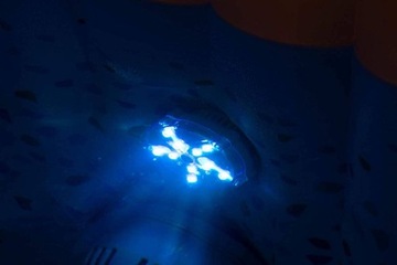 Светильник для бассейна на батарейках для Lay-Z-Spa LED MULTICOLOR Bestway 60303