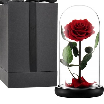 CZERWONA WIECZNA RÓŻA POD KLOSZEM KWIAT