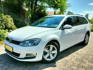 Volkswagen Golf VII Variant 1.4 TSI BlueMotion Technology 122KM 2014 Volkswagen Golf 1.4 122KM *Bardzo Ładny*, zdjęcie 5