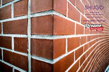 Чистка брусчатки, клинкерной плитки 5л.