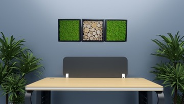 Картина в трёх рамах, мох+дерево, 30х30 см.