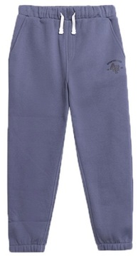 ДЕТСКИЕ СПОРТИВНЫЕ БРЮКИ 4F ДЛЯ МАЛЬЧИКОВ, ХЛОПОК AW23M419