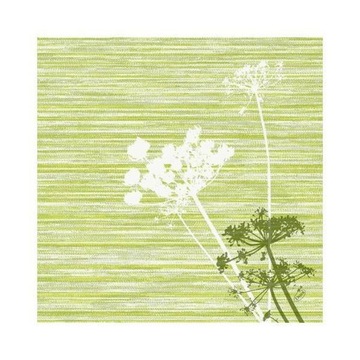 Serwetki flizelinowe 40x40 50 szt achillea zielona