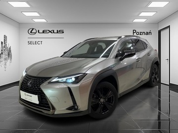 Lexus UX Crossover 250h 184KM 2022 Lexus UX 250h GPF F Impression 2WD