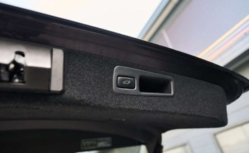 Lexus RX III SUV 450h 299KM 2010 Lexus RX Lexus RX 450h (hybrid) Executive Line 3.5 Hybryda 299KM, zdjęcie 25