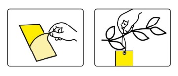 НАКЛЕЙКА ДЛЯ ГОРШКА ТЕПЛИЦЫ XXL ДЛЯ ТЛИ ЗЕМЛЯНЫХ МУХ МУРАВЬЕВ (10 ШТ.)