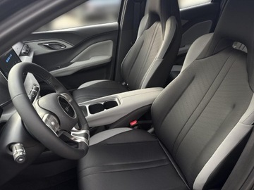 BYD 2025 BYD Dolphin Surf, zdjęcie 29