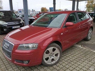 Audi A3 8P Hatchback 3d 1.6 FSI 115KM 2007 Audi A3 Sportback 1.6 benzyna CLIMATRONIC PIEKNY kolor bez rdzy 1.6 115KM, zdjęcie 4