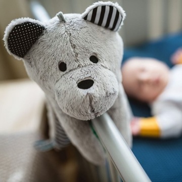 ДЕТСКИЙ ДУШЕВОЙ НАБОР WHISBEAR ИГРУШКА-ОБЪЯВКА SCHUMIŚ Cry Sensor + Плюшевый мишка Птица
