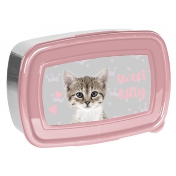 ŚNIADANIÓWKA KOTEK 750ml szkolna PASO lunchbox