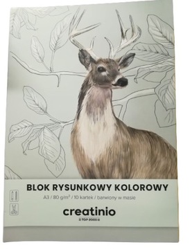 Blok rysunkowy kolorowy A3 10 Kartkowy
