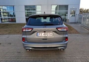Ford Kuga III SUV 2,0 EcoBlue 120KM 2023 Ford Kuga 2.0 EcoBlue 120 KM AWD AT8 wersja ST-Line - FV23 - gwarancja do, zdjęcie 4