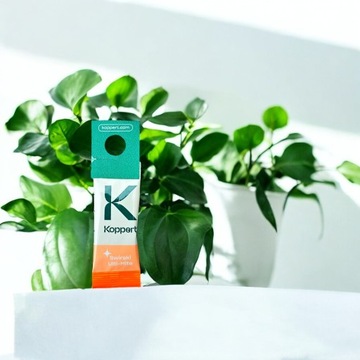 5x SWIRSKI Ulti-Mite zwalcza WCIORNIASTKI i MĄCZLIKI | BIO ROZTOCZA