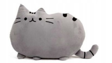 PODUSZKA KOT KOTEK PRZYTULANKA MASKOTKA CAT KOLORY