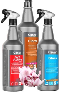 Zestaw do codziennego sprzątania Clinex Glass Floral W3 Active Shield