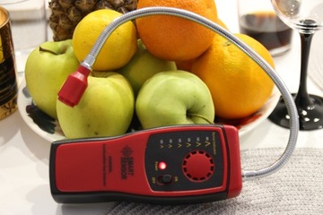 ДЕТЕКТОР ДАТЧИК ПРИРОДНОГО ГАЗА ДЕТЕКТОР СНГ ГАЗА ПРОПЕН ЗОНД МЕТАН vip