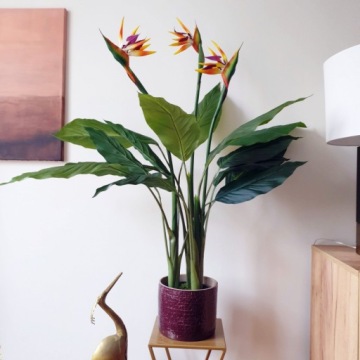 Грунт для бигоса STRELICE 5л, субстрат