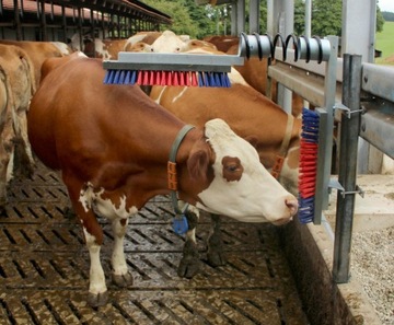 Щетка для крупного рогатого скота, щетка для лошадей КРС KERBL