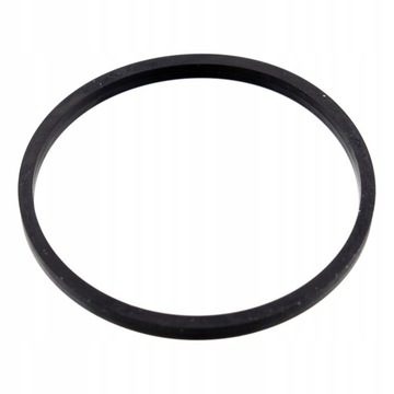 USZCZELKA TERMOSTATU 100055/FEB