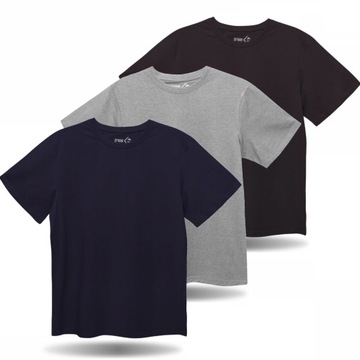 3x T-Shirt Koszulka Męska Bawełniana PLUS SIZE Na Krótki Rękaw MORAJ 5XL