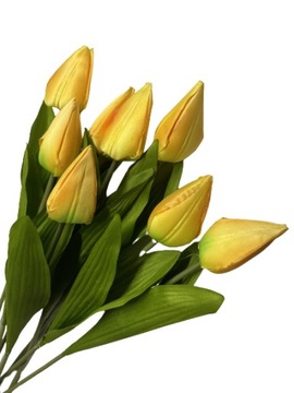 КАТТИ ФОРСИТИЯ ПЕРЕХОДЫ CLICK FLOWERS TRANGE