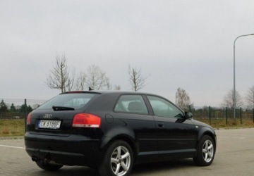 Audi A3 8P Hatchback 3d 2.0 TDI PD 170KM 2007 Audi A3 3-drzwiowe 2.0TDi Quattro Podgrzewane Fotele 2.0 Diesel 170KM, zdjęcie 24